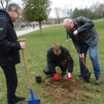 Inauguracja akcji sadzenia lip w powiecie opatowskim / Emilia Sitarska / Radio Kielce