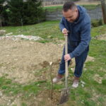 Inauguracja akcji sadzenia lip w powiecie opatowskim / Emilia Sitarska / Radio Kielce