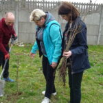 Inauguracja akcji sadzenia lip w powiecie opatowskim / Emilia Sitarska / Radio Kielce