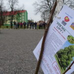 Inauguracja akcji sadzenia lip w powiecie opatowskim / Emilia Sitarska / Radio Kielce