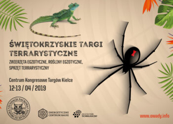 Świętokrzyskie Targi Terrarystyczne / mat. organizatora