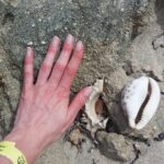 Muzyczne podróże. Zanzibar / Katarzyna Barwicka