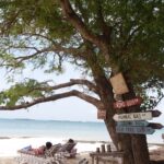 Muzyczne podróże. Zanzibar / Katarzyna Barwicka