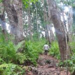 Muzyczne podróże. Zanzibar / Katarzyna Barwicka