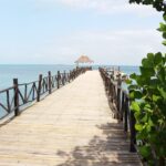 Muzyczne podróże. Zanzibar / Katarzyna Barwicka