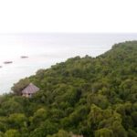 Muzyczne podróże. Zanzibar / Katarzyna Barwicka