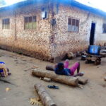 Muzyczne podróże. Zanzibar / Katarzyna Barwicka