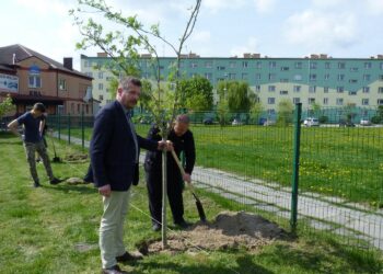 Akcja "Zielony Jędrzejów" w 2018 roku / Miasto Jędrzejów / facebook