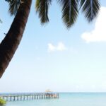 Muzyczne podróże. Zanzibar / Katarzyna Barwicka