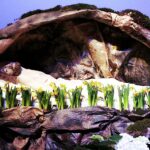 Święty Krzyż / Jarosław Kubalski / Radio Kielce