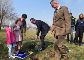 Park dębowy przy Elektrowni Połaniec. Na zdjęciu od prawej: Adam Lubera - nadleśniczy Nadleśnictwa Staszów, prezes Enea Połaniec - Lech Żak / Grażyna Szlęzak-Wójcik / Radio Kielce