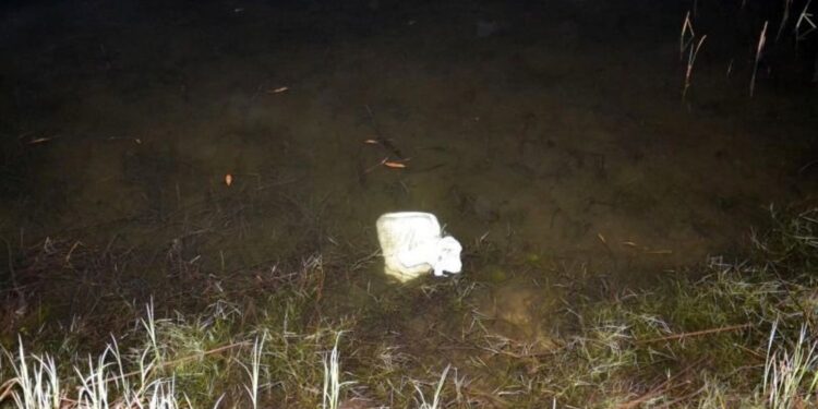 Skarżysko. 72-letni mężczyzna utopił w rzece Kamienna kota swojej sąsiadki / świętokrzyska policja