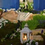 Brzeziny / Damian Zegadło