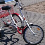 Prezentacja trójkołowych rowerów / Ewa Pociejowska-Gawęda / Radio Kielce