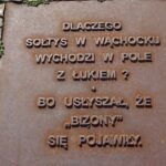 Rowerowa majówka z Radiem Kielce - Szlak czarny rowerowy Wąchock - Szydłowiec. Zdjęcia z Wąchocka / Anna Głąb / Radio Kielce