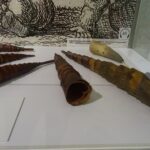 Rowerowa majówka z Radiem Kielce - Szlak czarny rowerowy Wąchock - Szydłowiec. Zdjęcia z Szydłowca / Anna Głąb / Radio Kielce