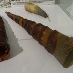 Rowerowa majówka z Radiem Kielce - Szlak czarny rowerowy Wąchock - Szydłowiec. Zdjęcia z Szydłowca / Anna Głąb / Radio Kielce