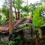 Muzyczne podróże. Zanzibar / Katarzyna Barwicka