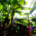 Muzyczne podróże. Zanzibar / Katarzyna Barwicka