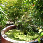 Muzyczne podróże. Zanzibar / Katarzyna Barwicka