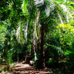 Muzyczne podróże. Zanzibar / Katarzyna Barwicka