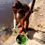 Muzyczne podróże. Zanzibar / Katarzyna Barwicka