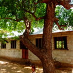 Muzyczne podróże. Zanzibar / Katarzyna Barwicka