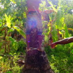 Muzyczne podróże. Zanzibar / Katarzyna Barwicka