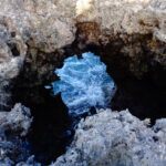 Muzyczne podróże. Zanzibar / Katarzyna Barwicka