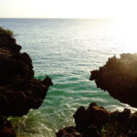 Muzyczne podróże. Zanzibar / Katarzyna Barwicka