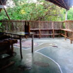 Muzyczne podróże. Zanzibar / Katarzyna Barwicka