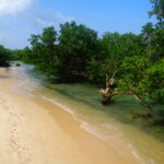 Muzyczne podróże. Zanzibar / Katarzyna Barwicka