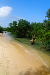 Muzyczne podróże. Zanzibar / Katarzyna Barwicka