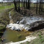 Olszownica. Klej w rowie melioracyjnym, przy drodze krajowej numer 74 / Emilia Sitarska / Radio Kielce