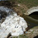 Olszownica. Klej w rowie melioracyjnym, przy drodze krajowej numer 74 / Emilia Sitarska / Radio Kielce