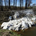 Olszownica. Klej w rowie melioracyjnym, przy drodze krajowej numer 74 / Emilia Sitarska / Radio Kielce