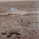 Wernisaż wystawy „Międzyczasy” Joanny Figlarskiej / Anna Głąb / Radio Kielce