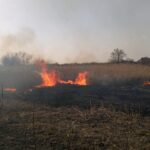 Pożary traw w powiecie sandomierskim / KP PSP w Sandomierzu