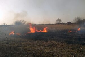 Pożary traw w powiecie sandomierskim / KP PSP w Sandomierzu