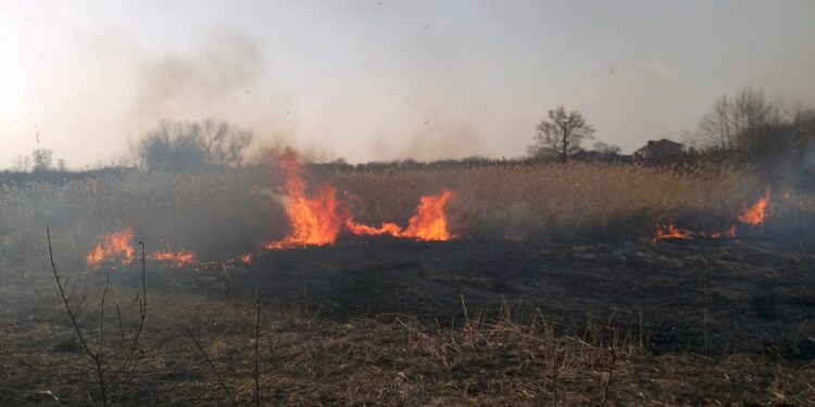Pożary traw w powiecie sandomierskim / KP PSP w Sandomierzu