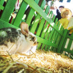 Fot. Jarosław Kubalski - Radio Kielce