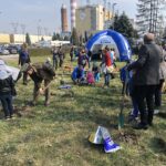 Park dębowy przy Elektrowni Połaniec / Grażyna Szlęzak-Wójcik / Radio Kielce