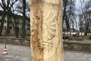 Rzeźba z pnia drzewa na cmentarzu katedralnym / Grażyna-Szlęzak-Wójcik / Radio Kielce