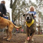 07.04.2019 Kielce. Charytatywny bieg na rzecz bezdomnych zwierząt na Stadionie Leśnym / Jarosław Kubalski / Radio Kielce