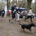 07.04.2019 Kielce. Charytatywny bieg na rzecz bezdomnych zwierząt na Stadionie Leśnym / Jarosław Kubalski / Radio Kielce
