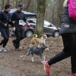 07.04.2019 Kielce. Charytatywny bieg na rzecz bezdomnych zwierząt na Stadionie Leśnym / Jarosław Kubalski / Radio Kielce