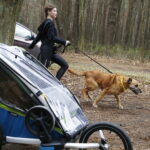 07.04.2019 Kielce. Charytatywny bieg na rzecz bezdomnych zwierząt na Stadionie Leśnym / Jarosław Kubalski / Radio Kielce