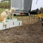07.04.2019 Kielce. Charytatywny bieg na rzecz bezdomnych zwierząt na Stadionie Leśnym / Jarosław Kubalski / Radio Kielce