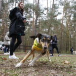 07.04.2019 Kielce. Charytatywny bieg na rzecz bezdomnych zwierząt na Stadionie Leśnym / Jarosław Kubalski / Radio Kielce
