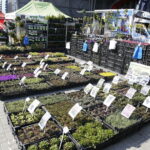 05.04.2019 Kielce. Targi Kielce. Targi Dom i Ogród / Jarosław Kubalski / Radio Kielce